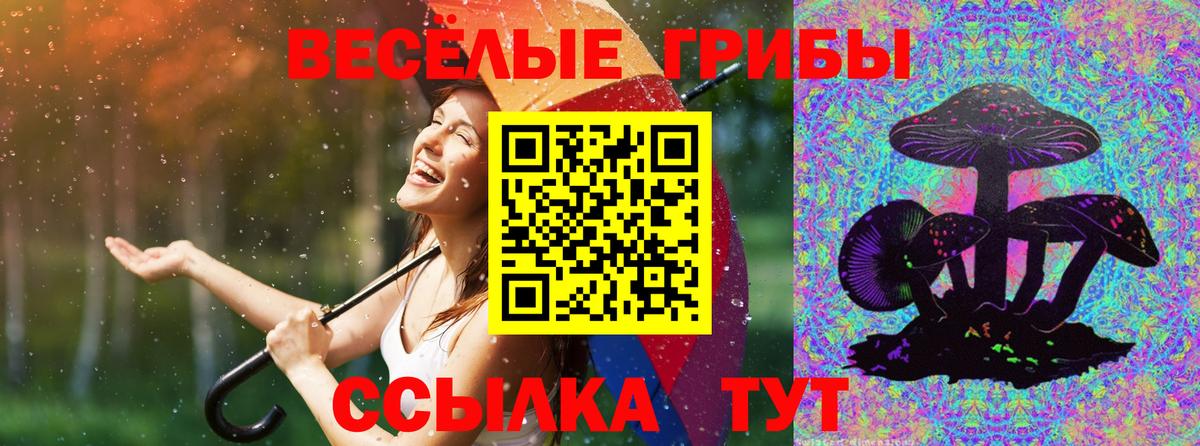 Псилоцибиновые грибы Magic Shrooms Барабинск