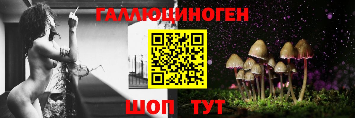 Псилоцибиновые грибы мицелий  Вход с VPN  Барабинск 